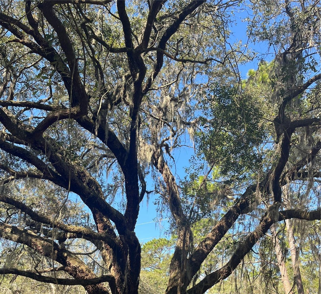 GROVELAND FARMS TR 51 TR 52 - Land