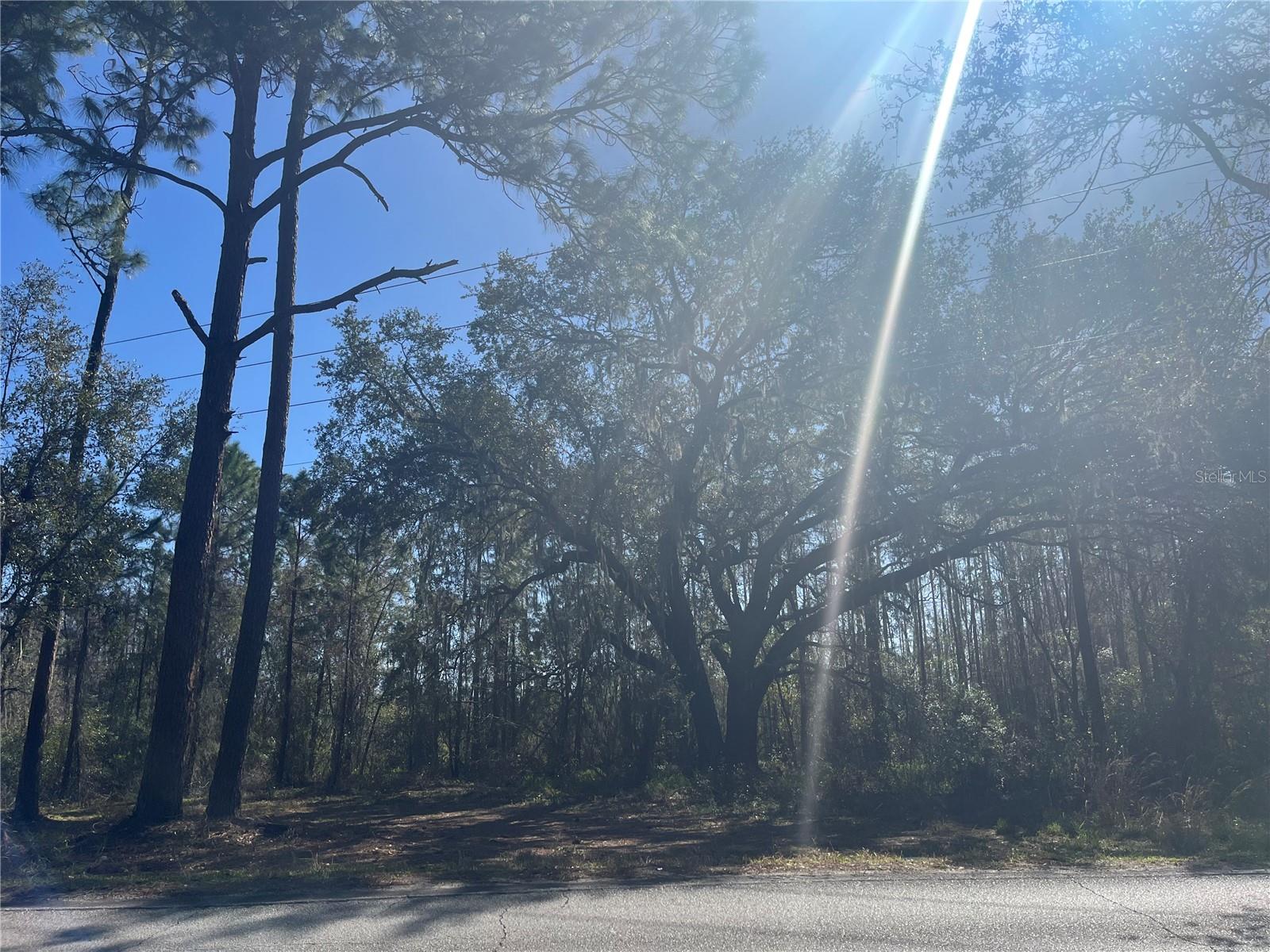 GROVELAND FARMS TR 51 TR 52 - Land