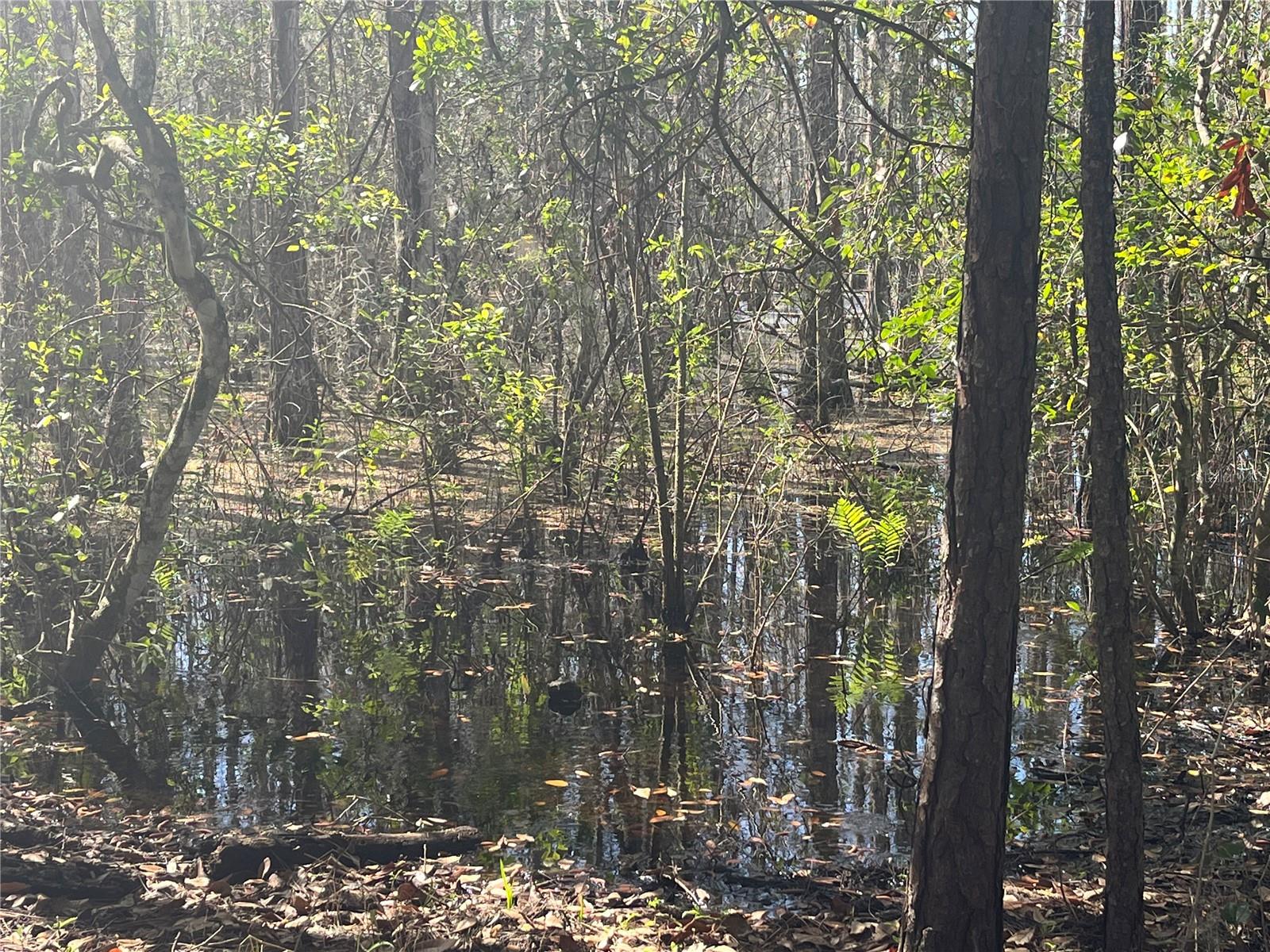 GROVELAND FARMS TR 51 TR 52 - Land