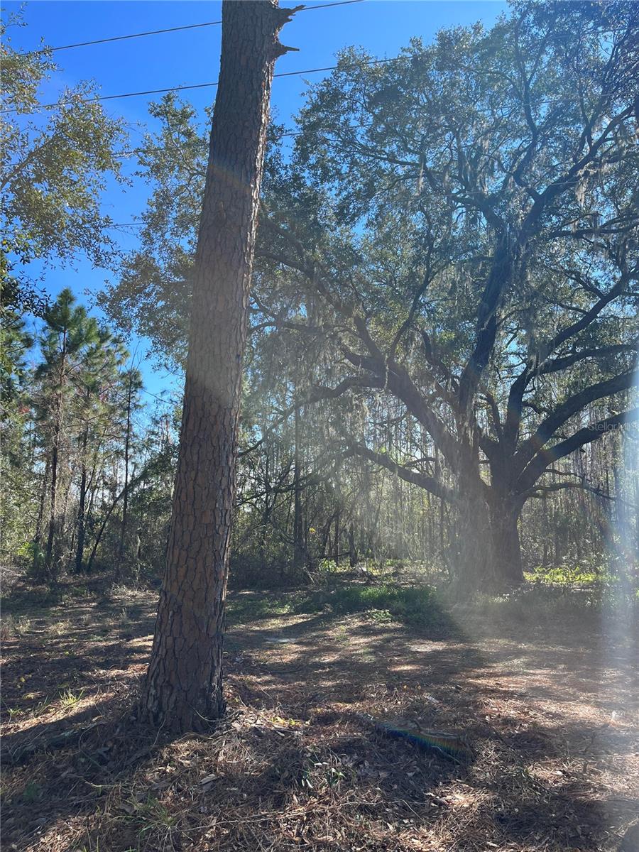 GROVELAND FARMS TR 51 TR 52 - Land