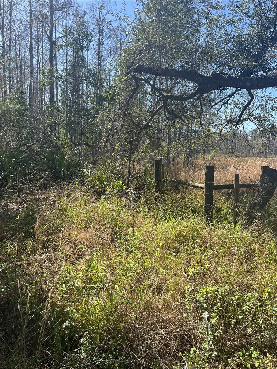 GROVELAND FARMS TR 51 TR 52 - Land