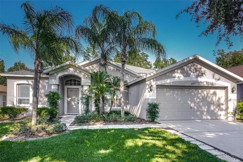 A home in VALRICO