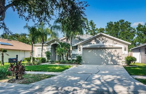 A home in VALRICO