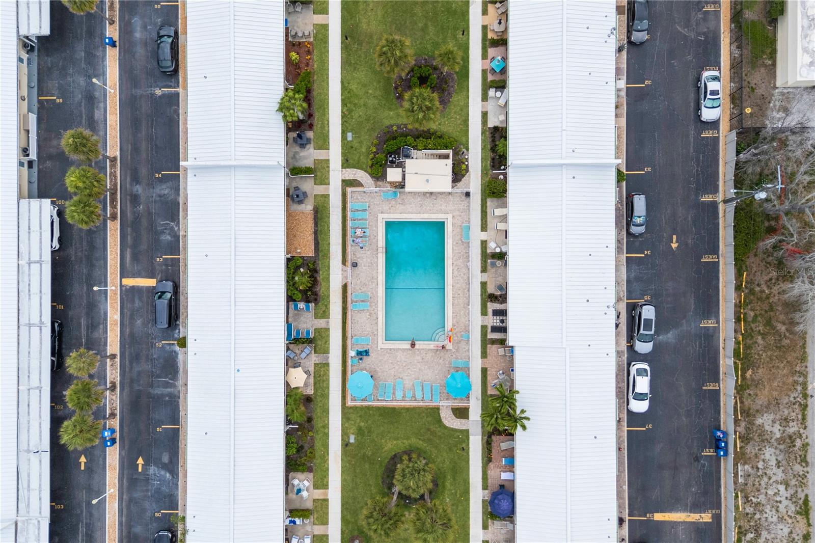 JAMAICA ROYALE - Residential