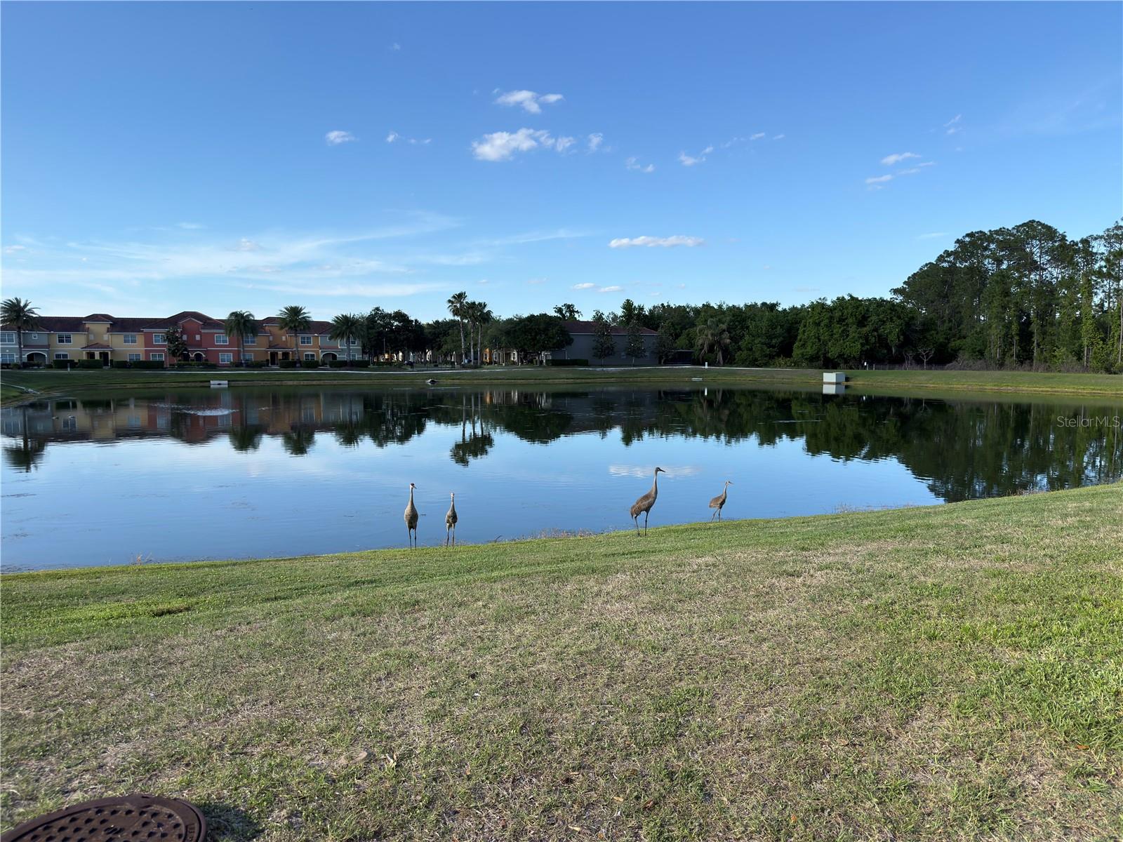 PARADISE PALMS RESIDENCE PH 3A - Residential