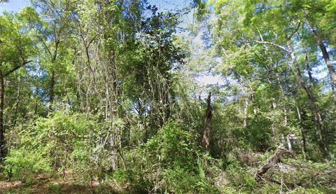 TBD SE 926TH ST STREET OLD TOWN FL 32680