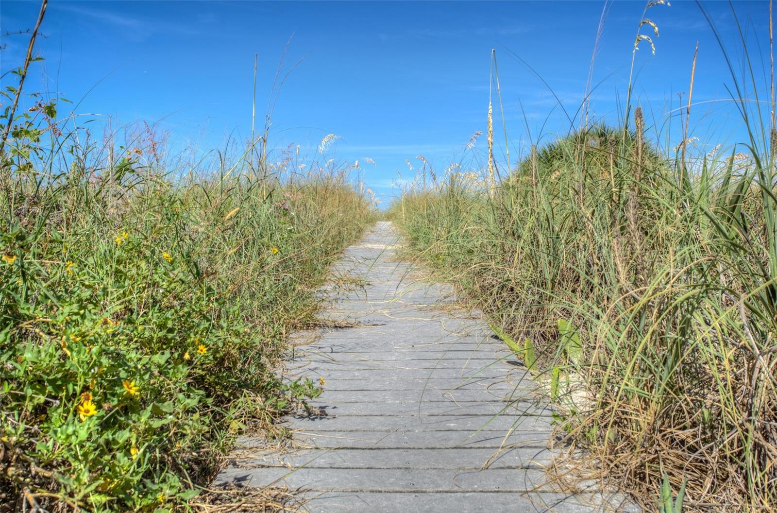 NORTH PASS-A-GRILLE SEC A - Residential Lease