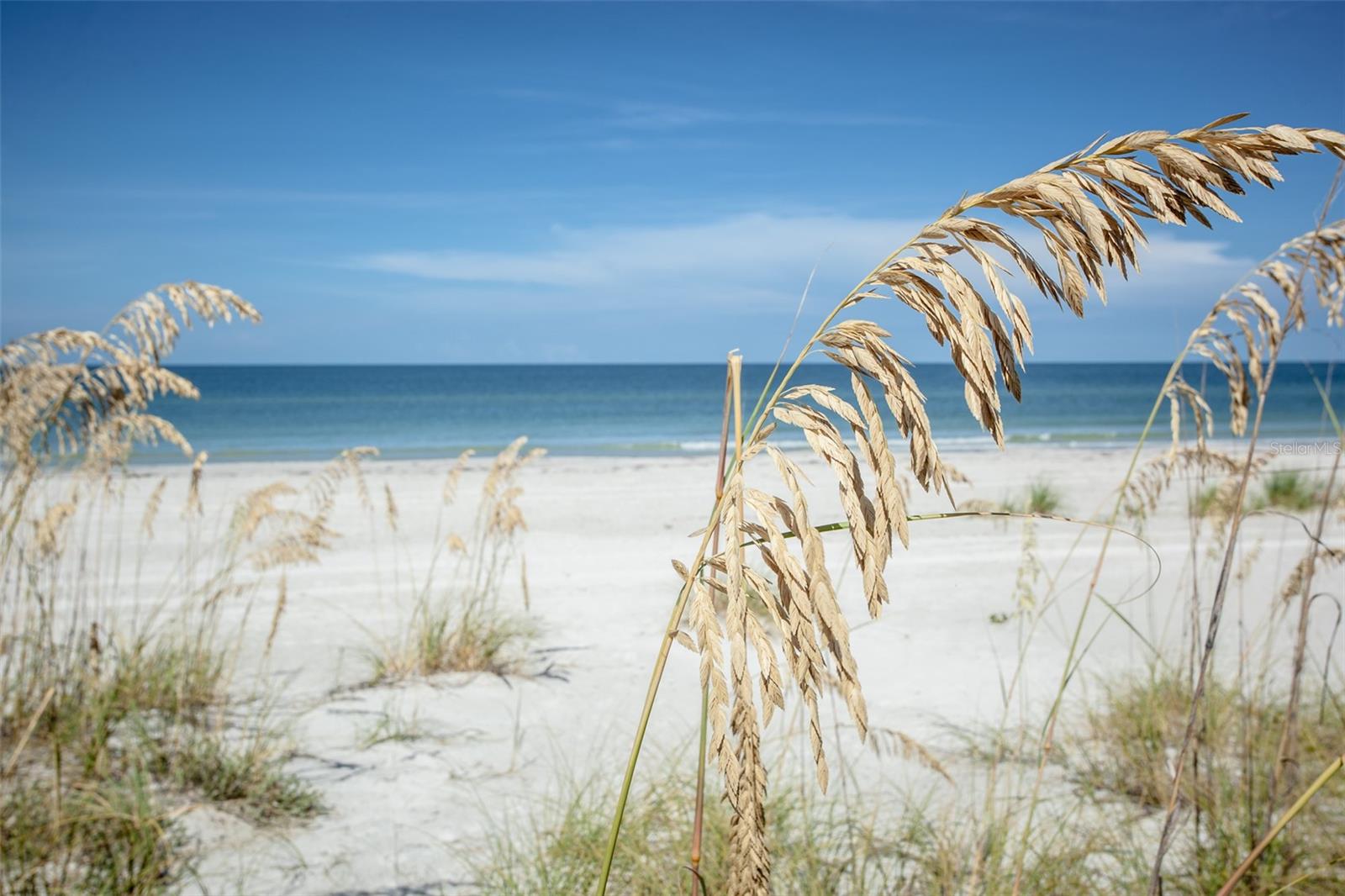 NORTH PASS-A-GRILLE SEC A - Residential Lease