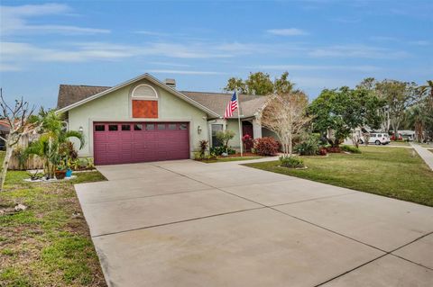 A home in PALM HARBOR