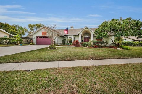 A home in PALM HARBOR