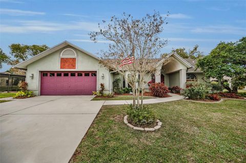 A home in PALM HARBOR