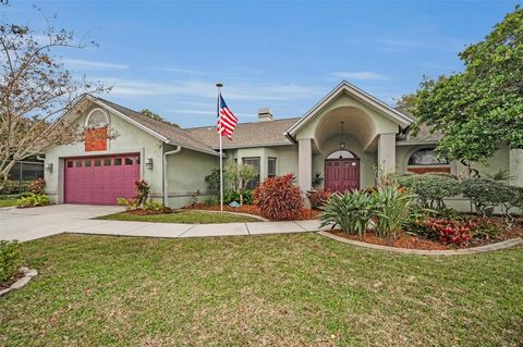 A home in PALM HARBOR