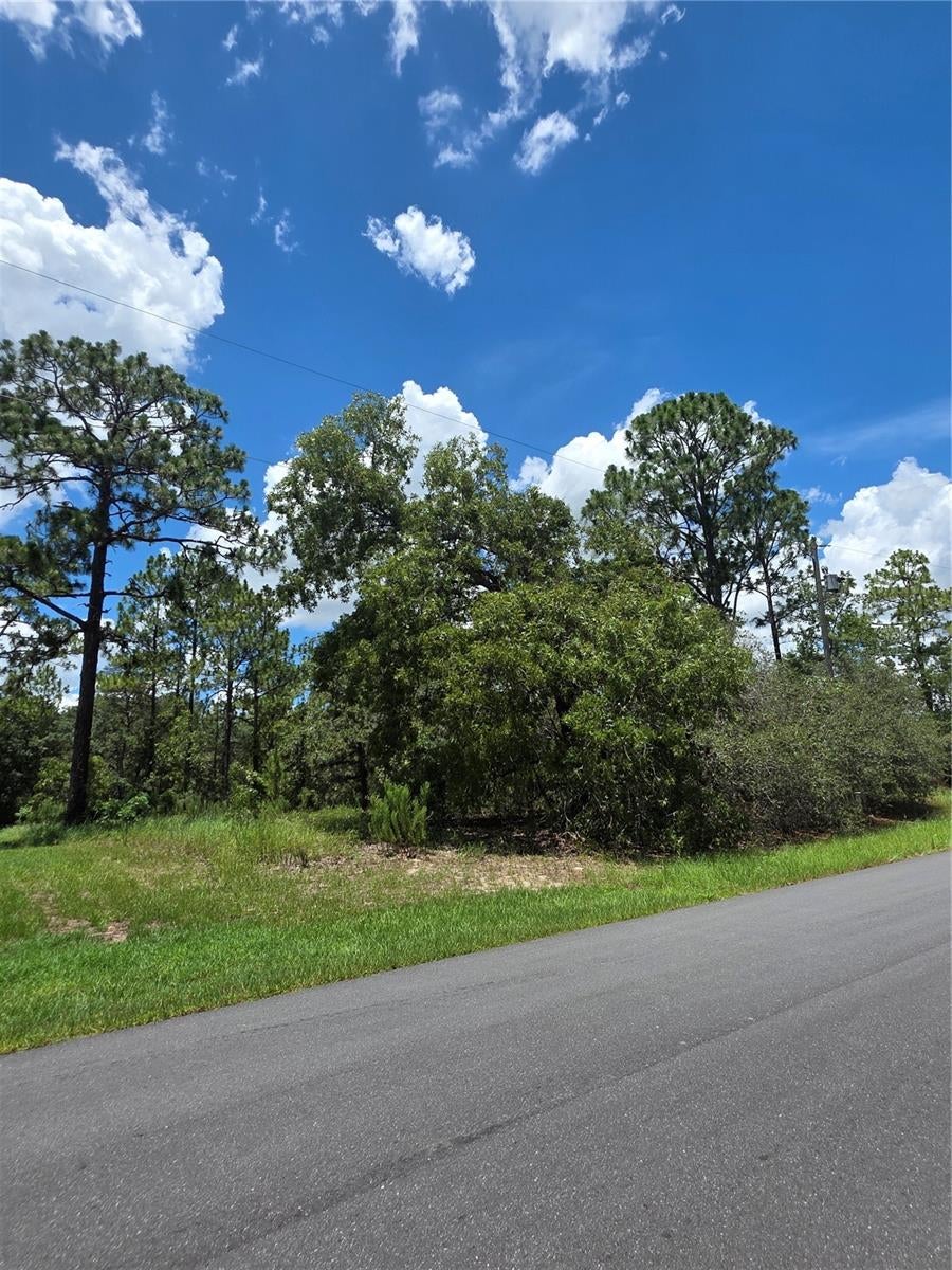 Photo of SW 60th Terrace, Ocala, FL 34473 (MLS # O6429341)