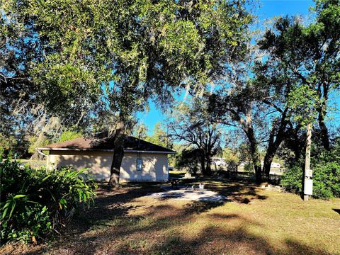 A home in DADE CITY