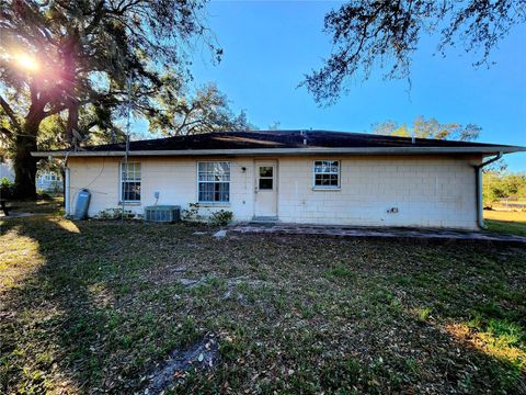 A home in DADE CITY