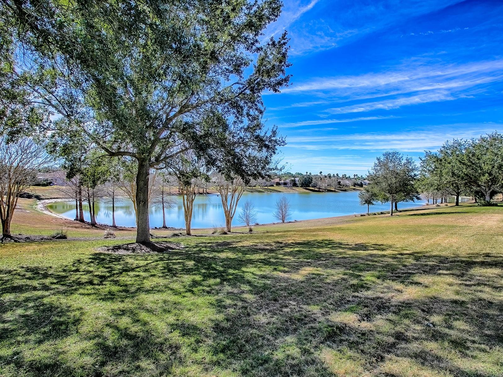 THE VILLAGES - Residential