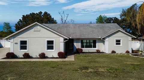 36751 SUNDANCE DRIVE GRAND ISLAND FL 32735