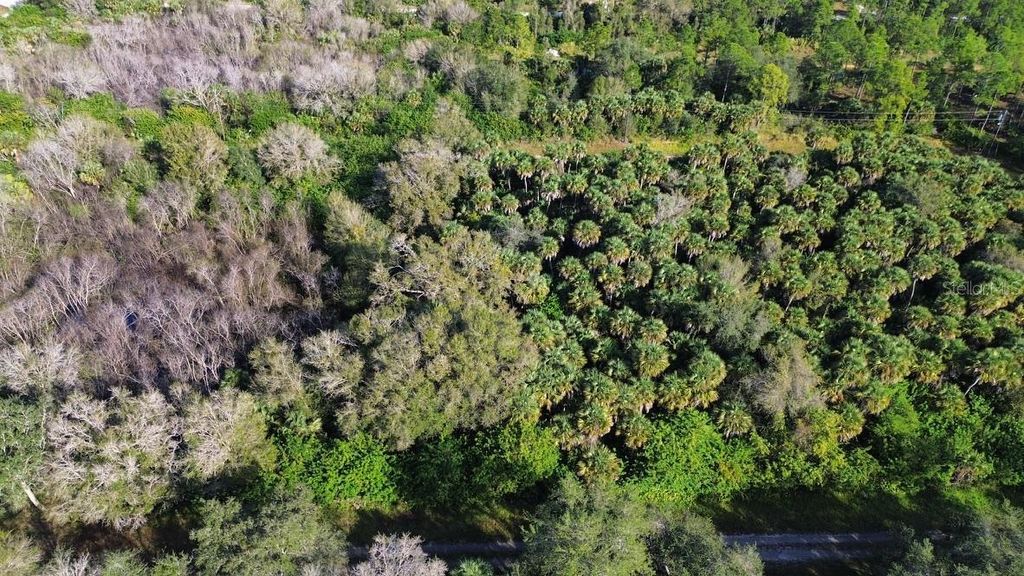 Photo of 1219 Rosita Street E, Lehigh Acres, FL 33974 (MLS # O6393773)