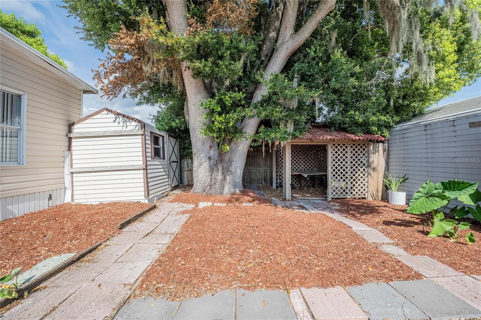36749 JODI AVENUE