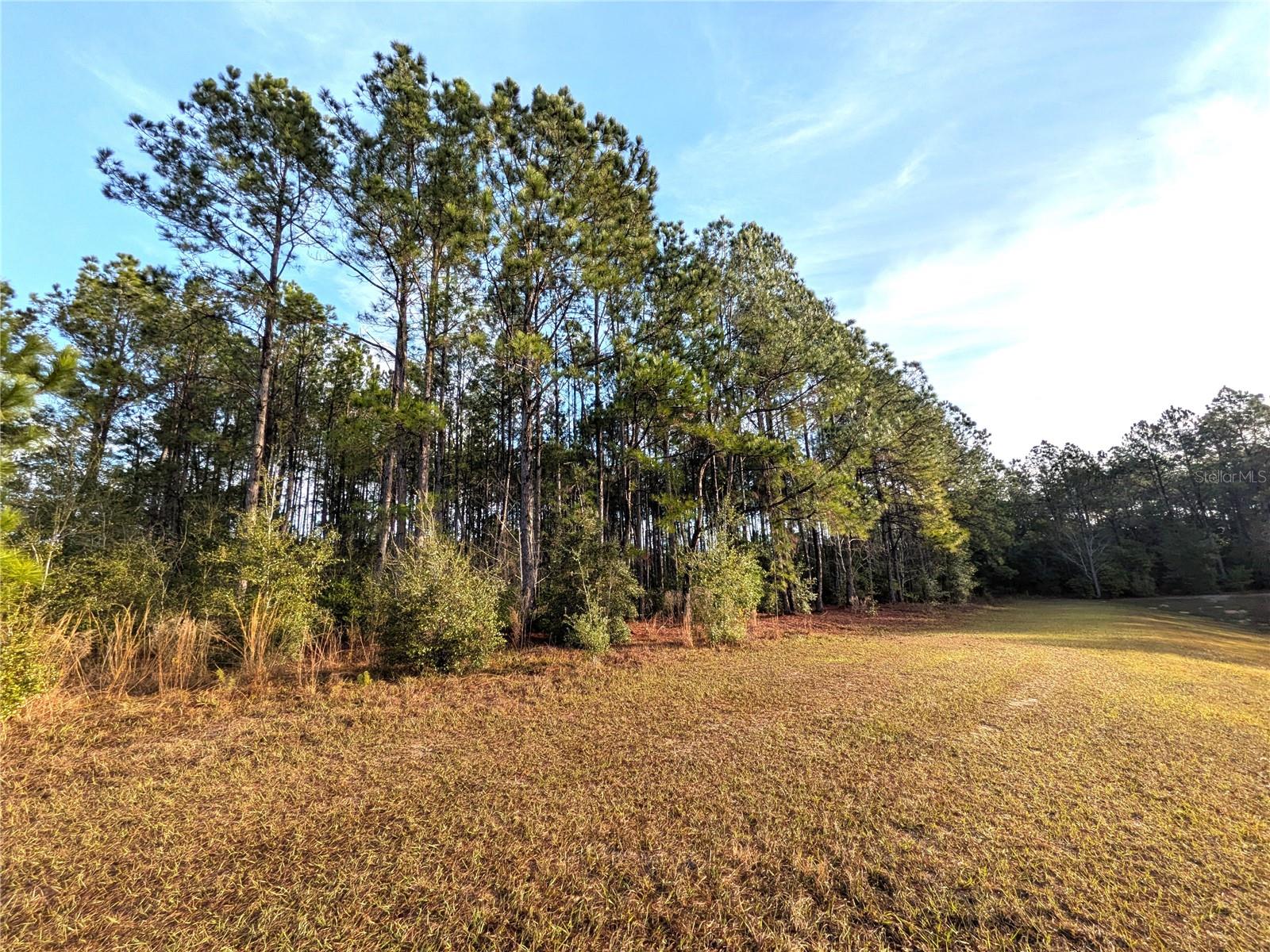 CLEARVIEW ESTATES SECOND ADD - Land