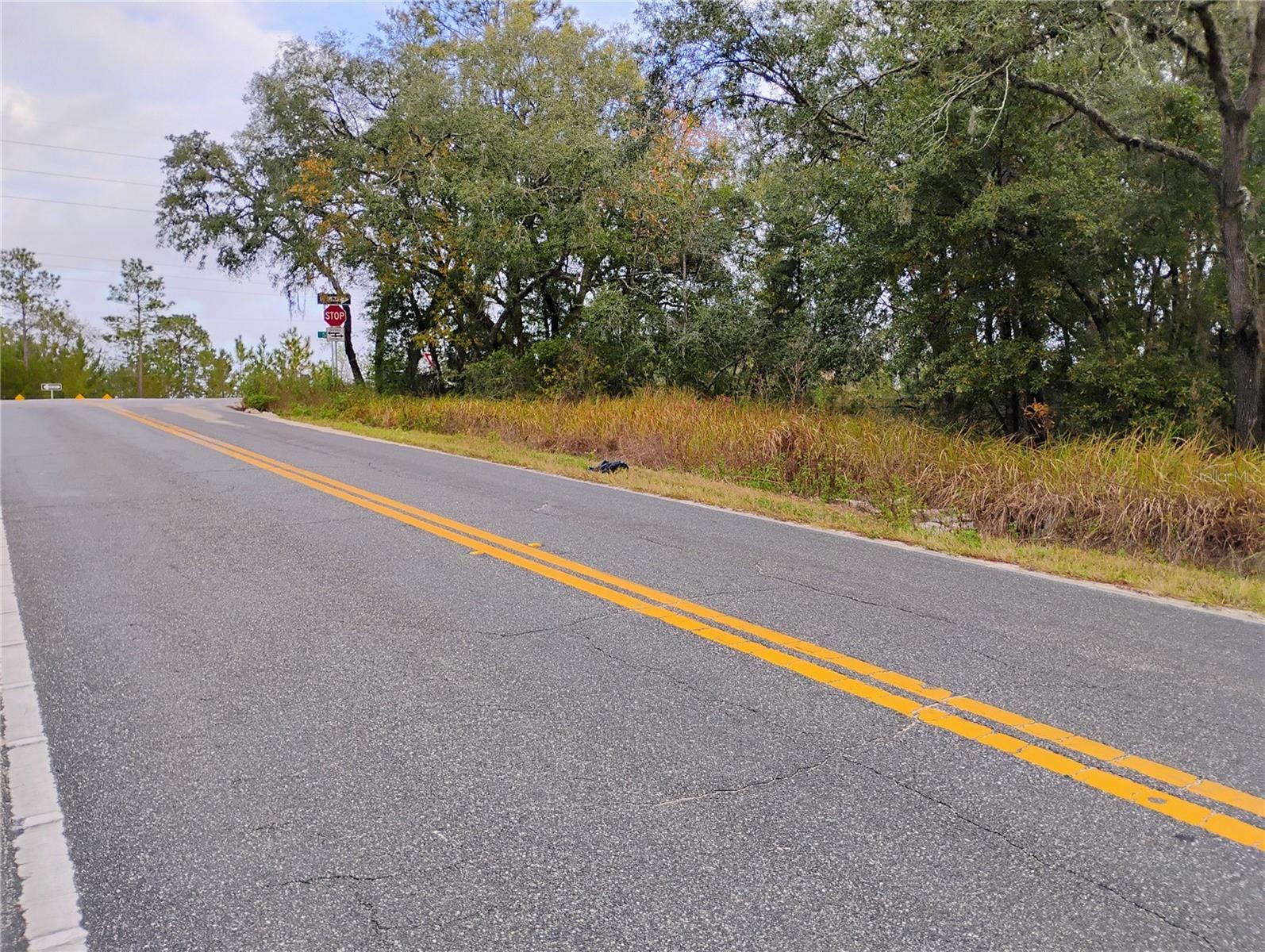 INTERLACHEN LAKES ESTATES - Land