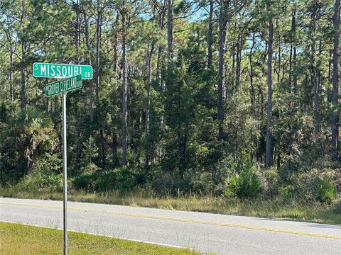 4025 S MISSOURI DRIVE HOMOSASSA FL 34448