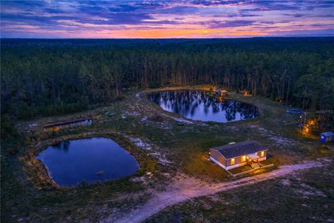 Photo of 12655 NE 215th Street, Fort Mccoy, FL 32134 (MLS # G5110739)