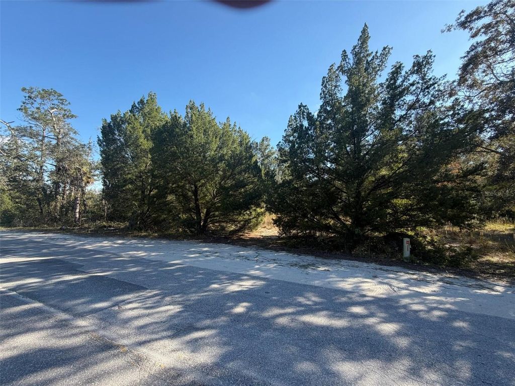 Photo of 7360 W Chassahowitzka Street, Homosassa, FL 34448 (MLS # O6358215)