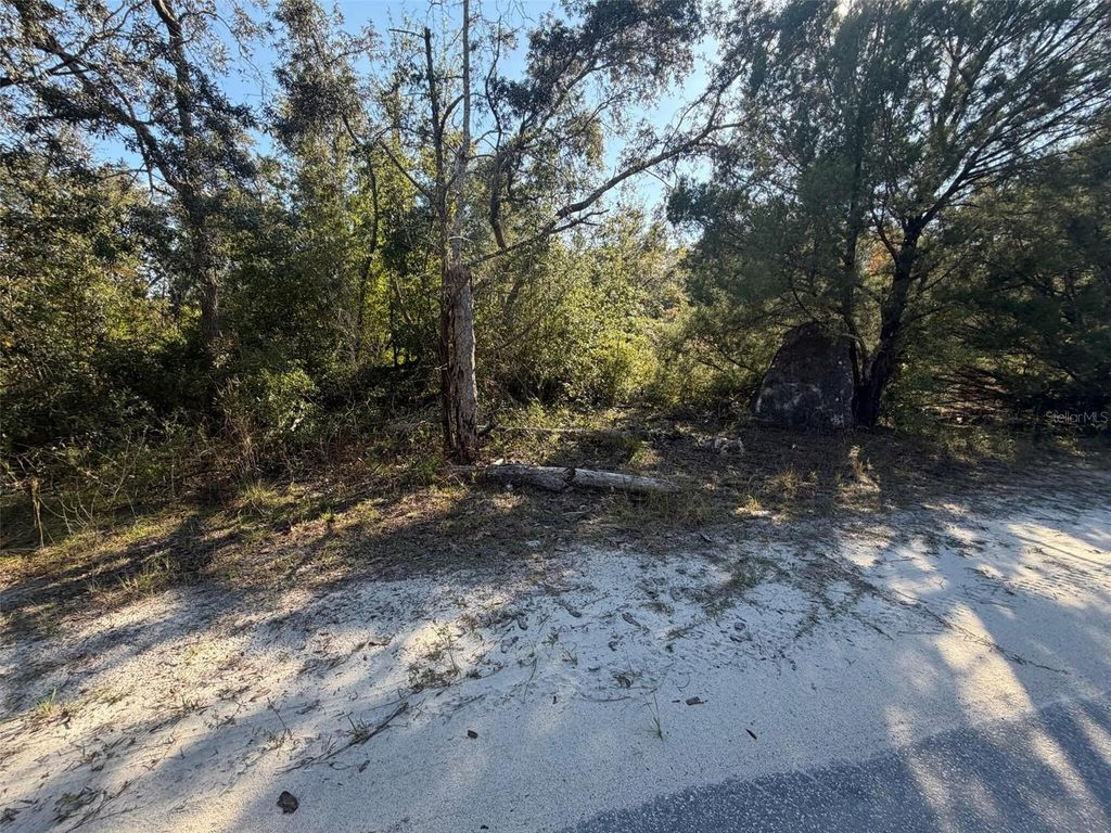 Photo of 7360 W Chassahowitzka Street, Homosassa, FL 34448 (MLS # O6358215)