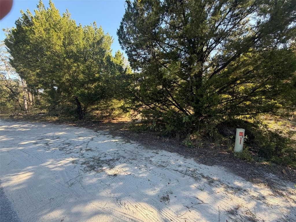 Photo of 7360 W Chassahowitzka Street, Homosassa, FL 34448 (MLS # O6358215)