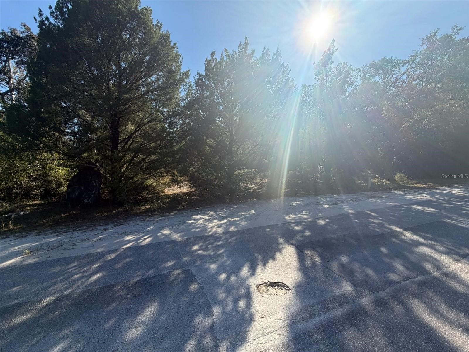 CASONS CHASSAHOWITZKA RETS UNIT 03 UNREC - Land