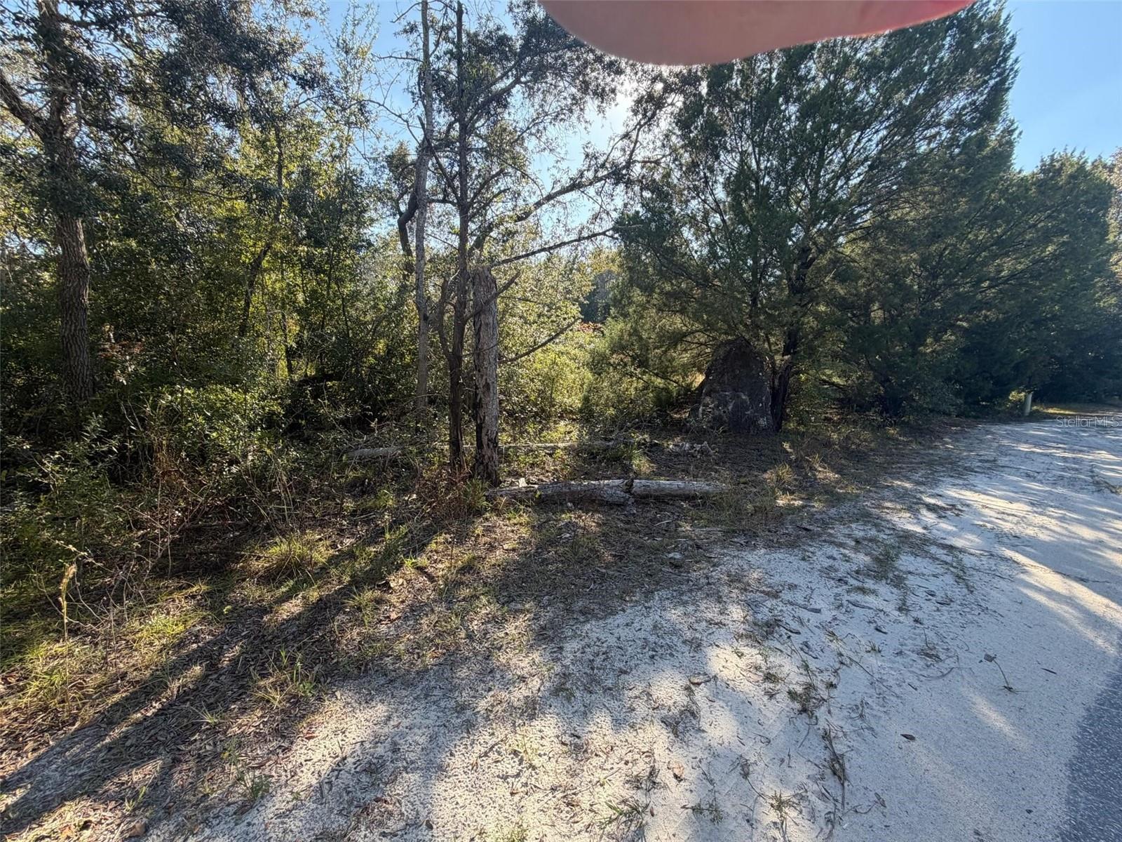 CASONS CHASSAHOWITZKA RETS UNIT 03 UNREC - Land