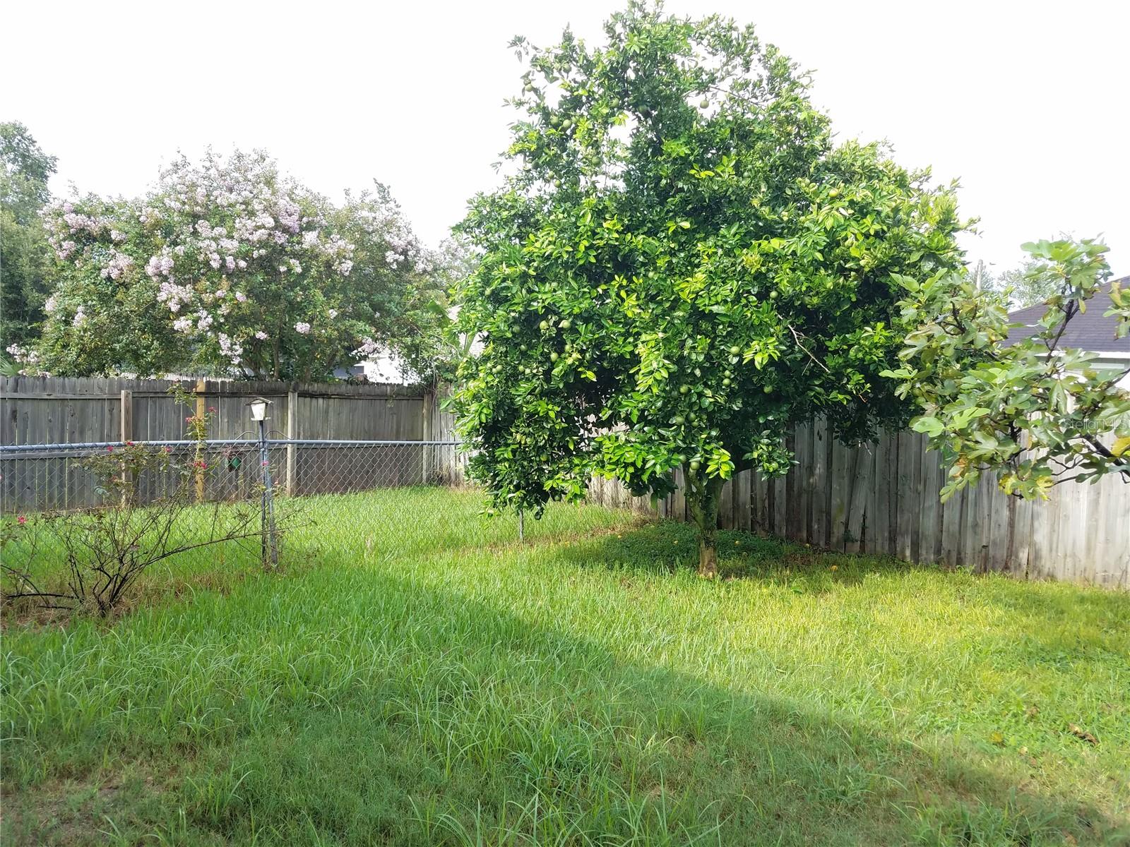 NORTHRIDGE - Residential Lease