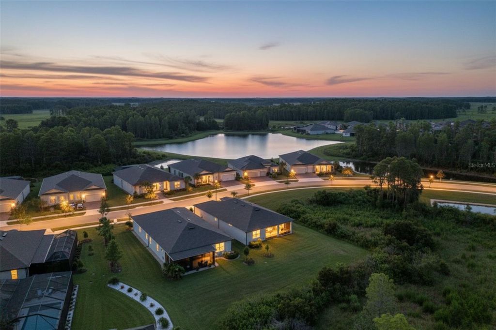 Photo of 18722 Sailors Delight Pass, Land O Lakes, FL 34638 (MLS # TB8409179)