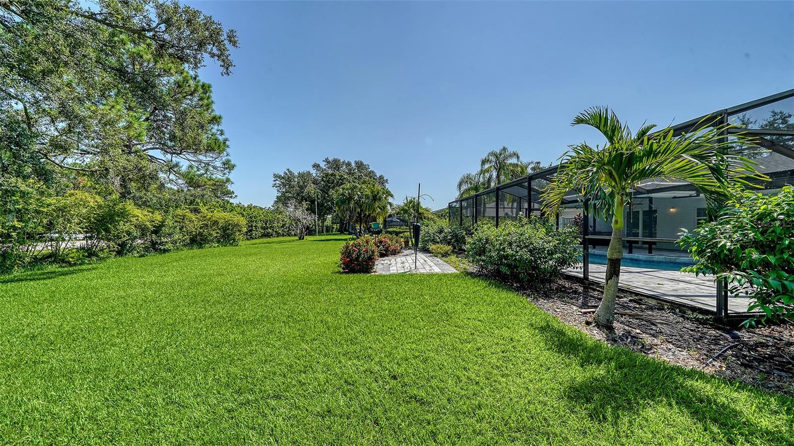 THE MEADOWS - Residential