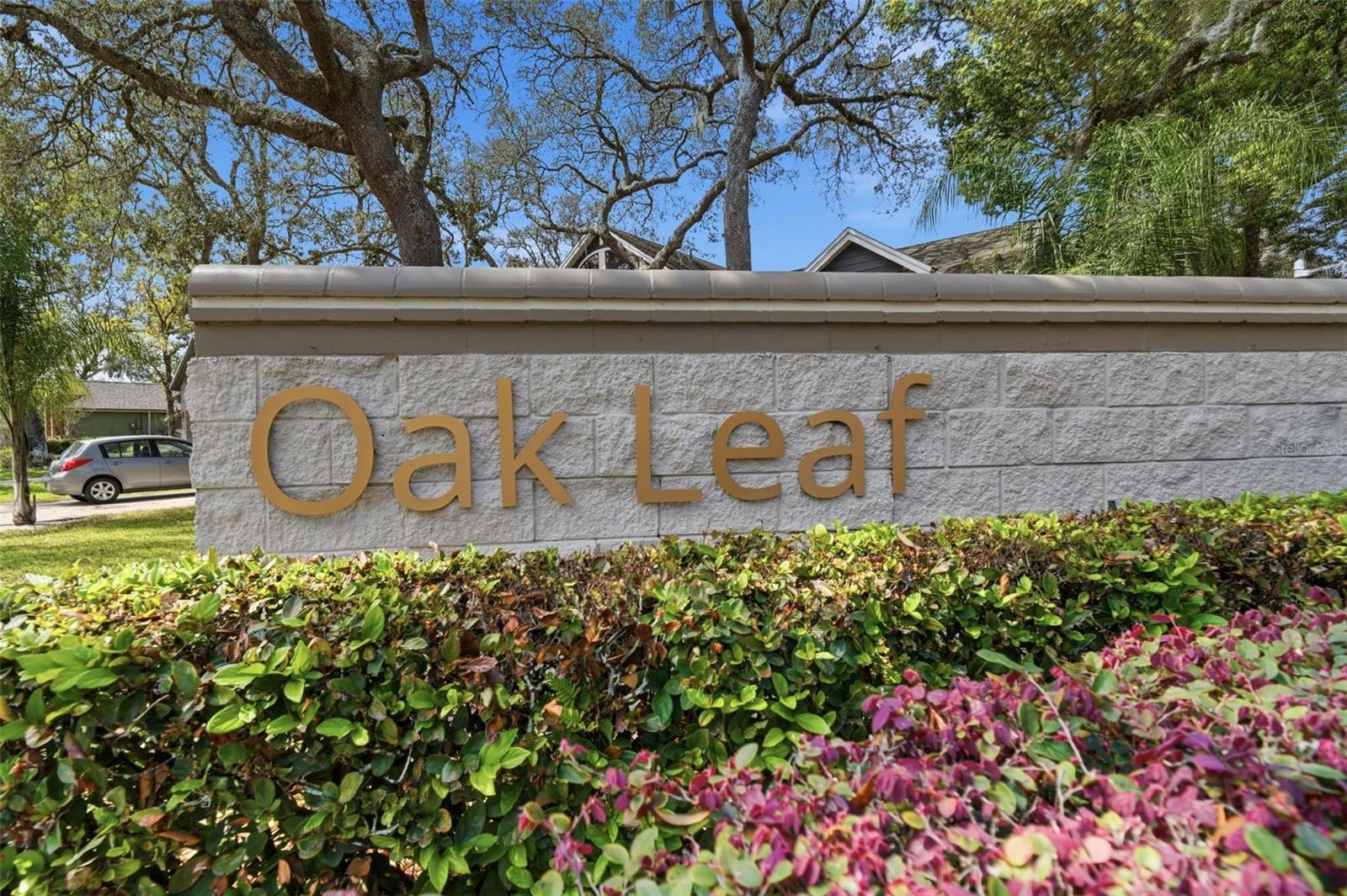 OAK LEAF - Residential