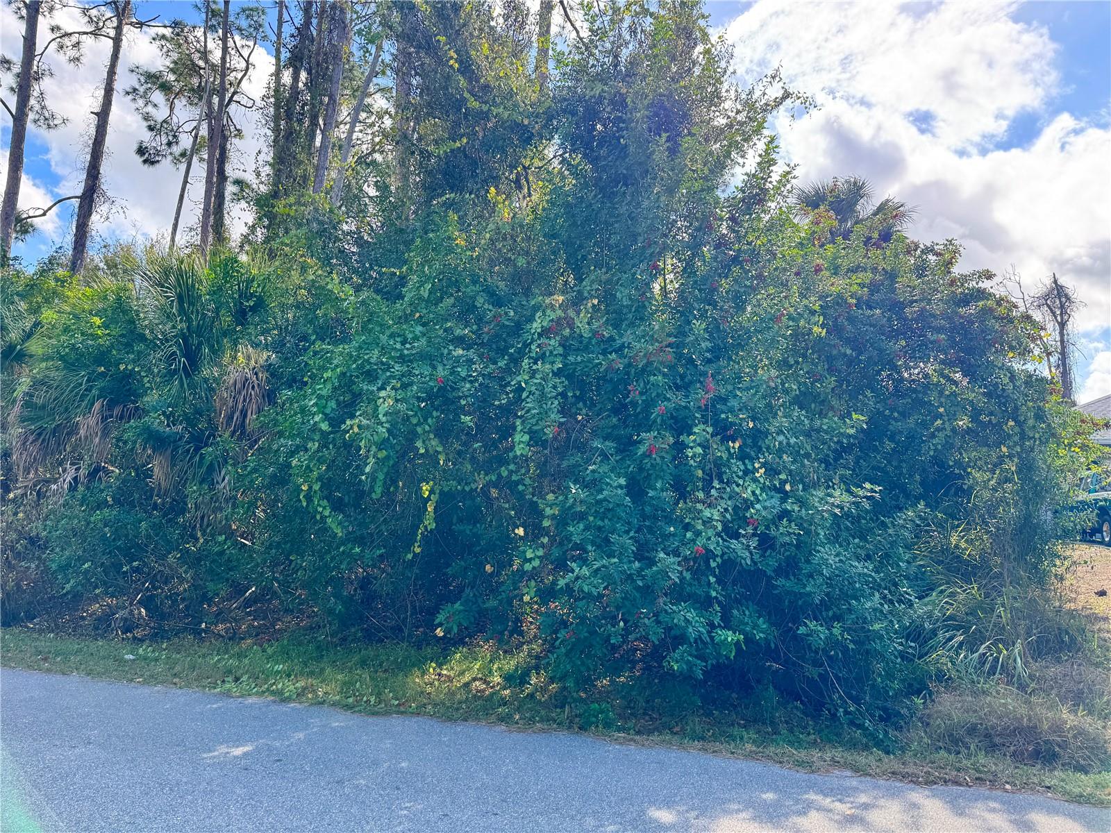 PORT CHARLOTTE SUB 19 - Land