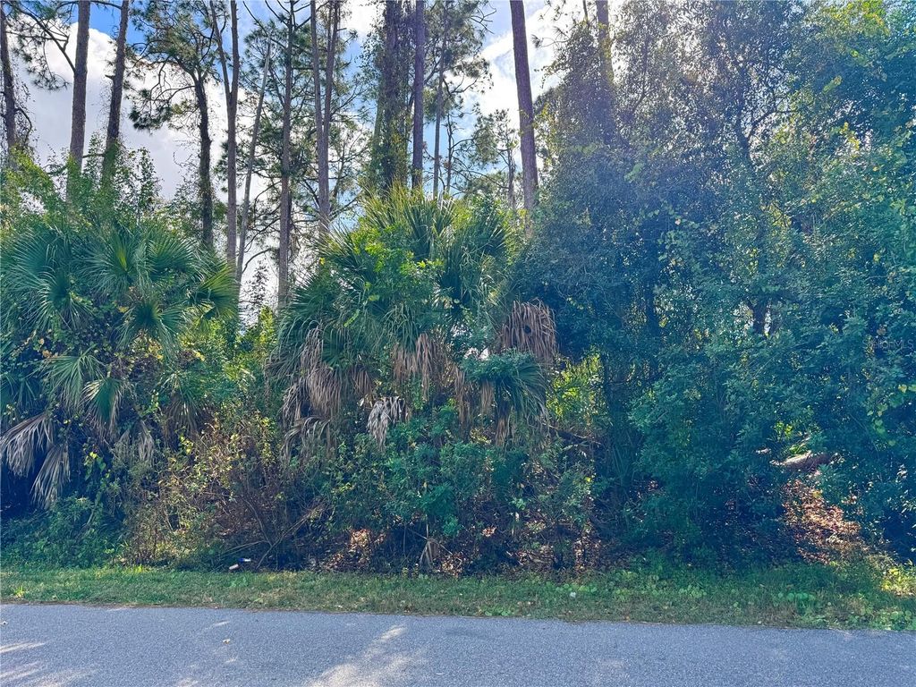 Photo of Tishman Avenue, North Port, FL 34286 (MLS # D6145270)