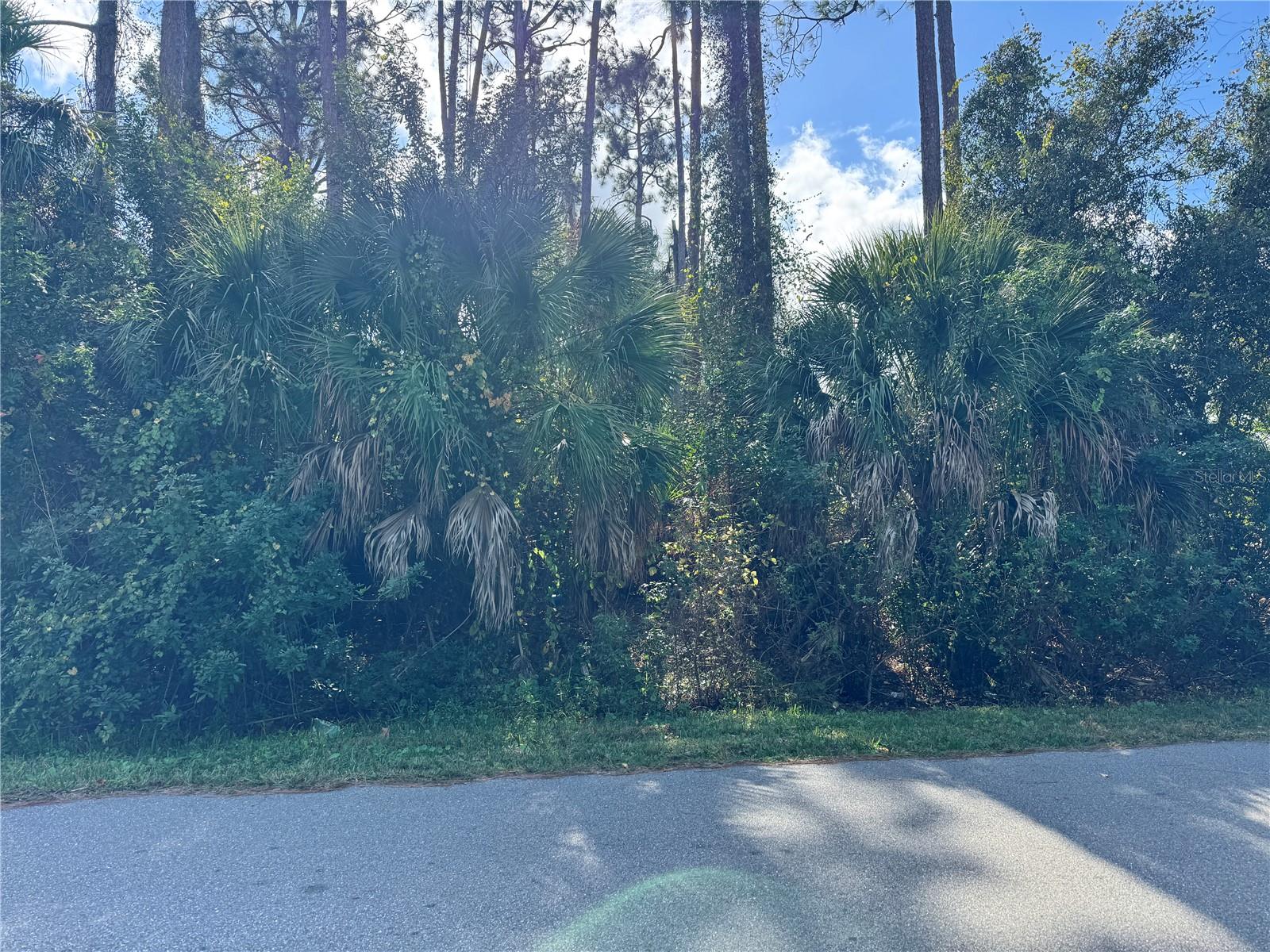 PORT CHARLOTTE SUB 19 - Land