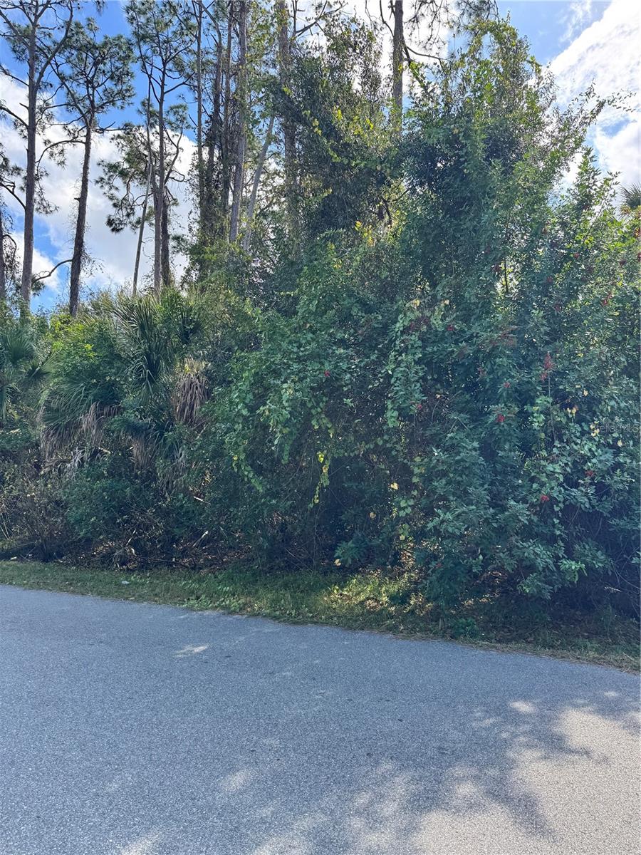 PORT CHARLOTTE SUB 19 - Land