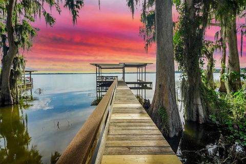 Tiny photo for 30523 Orange Drive, Leesburg, FL 34748 (MLS # G5098572)