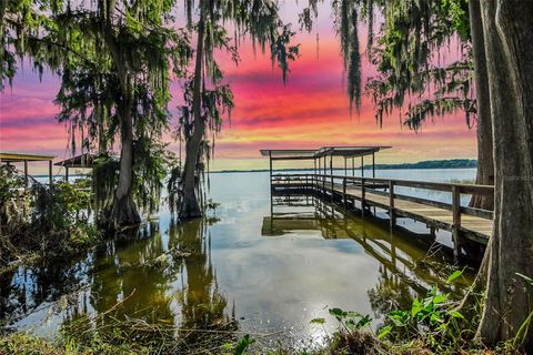 Tiny photo for 30523 Orange Drive, Leesburg, FL 34748 (MLS # G5098572)