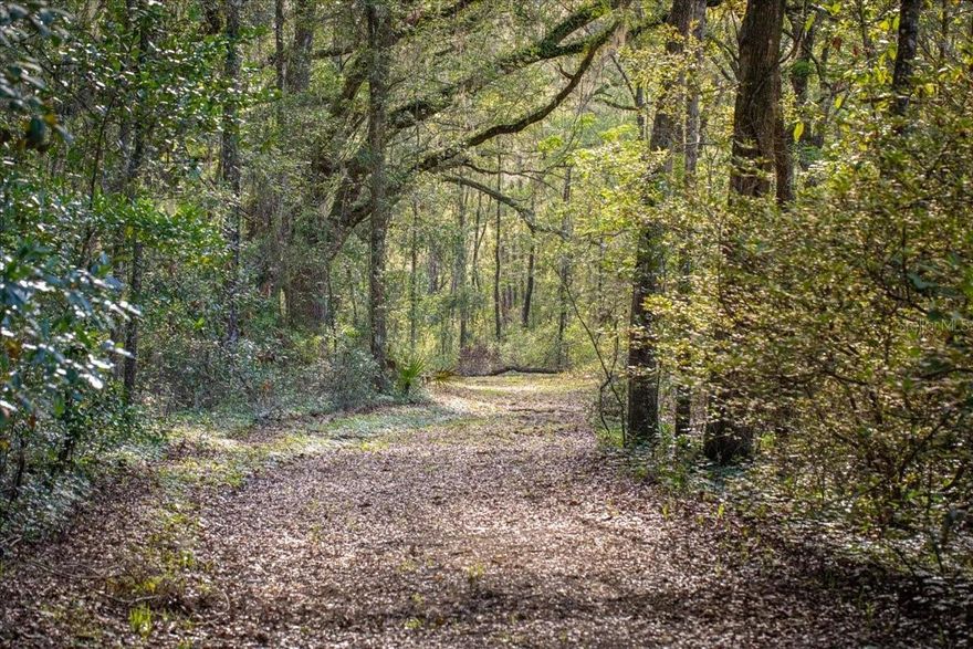 This property is the true definition of peaceful Florida living. Tucked away on 20 breathtaking acres and located just 11 minutes from I-75 and Hwy 441, this private retreat offers the perfect balance of seclusion and convenience. Hidden less than half a mile down a quiet dirt road, you’ll arrive by way of a picturesque driveway lined with mature natural hardwoods, instantly setting the tone for the serenity that awaits.
As you explore the property, you’ll discover a beautifully cleared homesite nestled well back from the roadway, offering privacy and endless possibilities for your future dream home. With a well and power pole already in place, much of the groundwork has already been started for you. An added bonus—the previous mobile home has already been removed, creating a valuable reduction in future impact fees when you build or bring in a new home.
Two spacious carports are ready to shelter your RV, boat, equipment, or other investments from the elements, while the large shed provides the ideal setup for storage, hobbies, or a workshop space.
Nature lovers will fall in love with the incredible towering Granddaddy Live Oak trees that are scattered throughout the property, creating a stunning canopy and the perfect habitat for local wildlife. Deer, wild turkeys, songbirds, and countless native species call this land home, making every walk through the property feel like a peaceful escape into natural Florida beauty.
Cleared walking paths wind throughout the acreage, inviting you to explore and imagine the possibilities—whether it’s building a private estate, creating a family retreat, establishing a mini-farm, or simply enjoying the tranquility of nature.
Properties like this are becoming increasingly rare—large acreage with privacy, existing improvements, abundant wildlife, and easy access to major highways. Come experience the beauty, quiet, and potential of this exceptional property today.