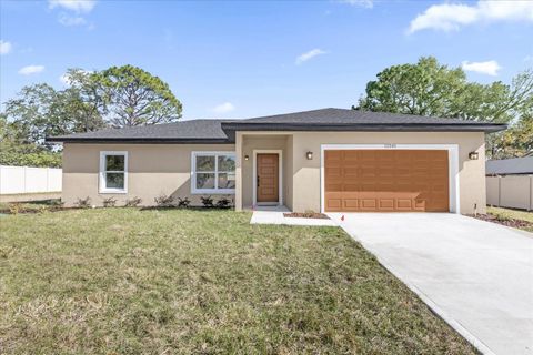 12345 SE 99TH AVENUE BELLEVIEW FL 34420