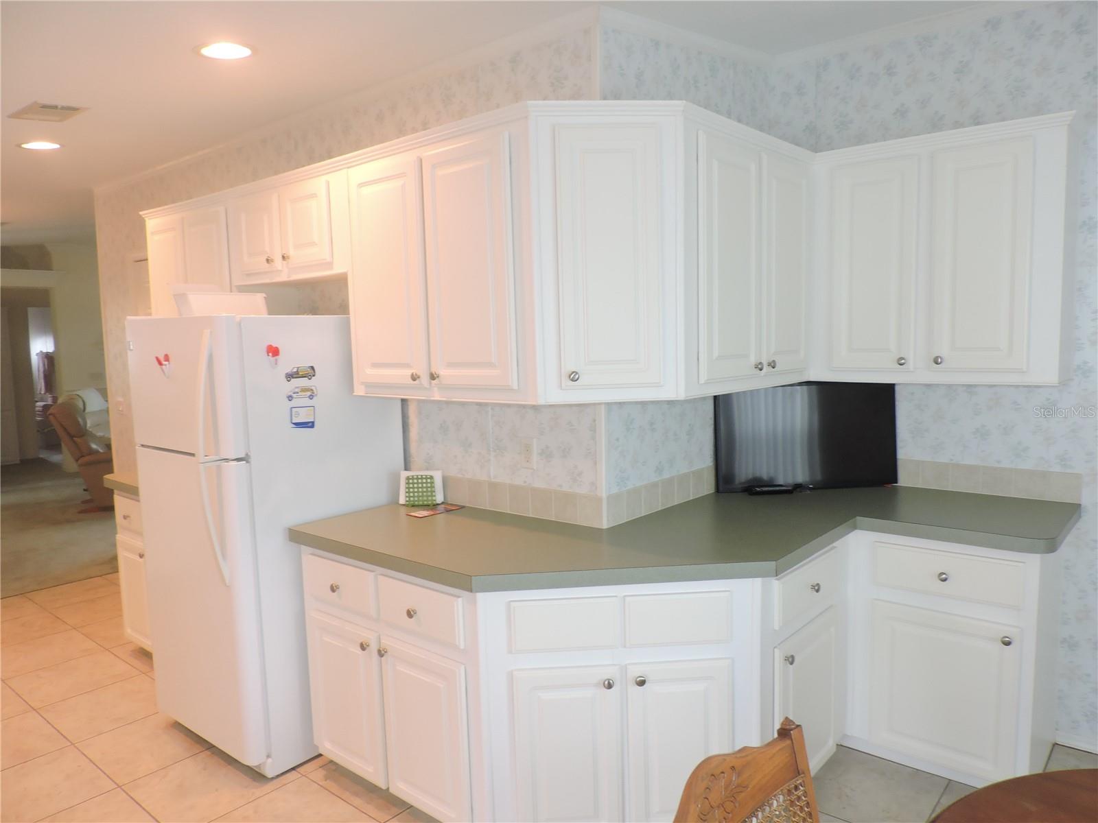 CALOOSA LAKE VILLAGE - Residential