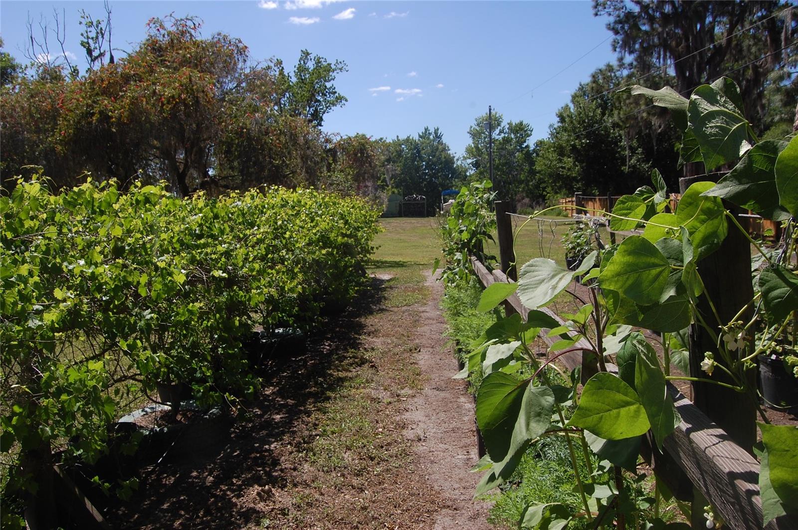 LAKESIDE ESTATES - Residential