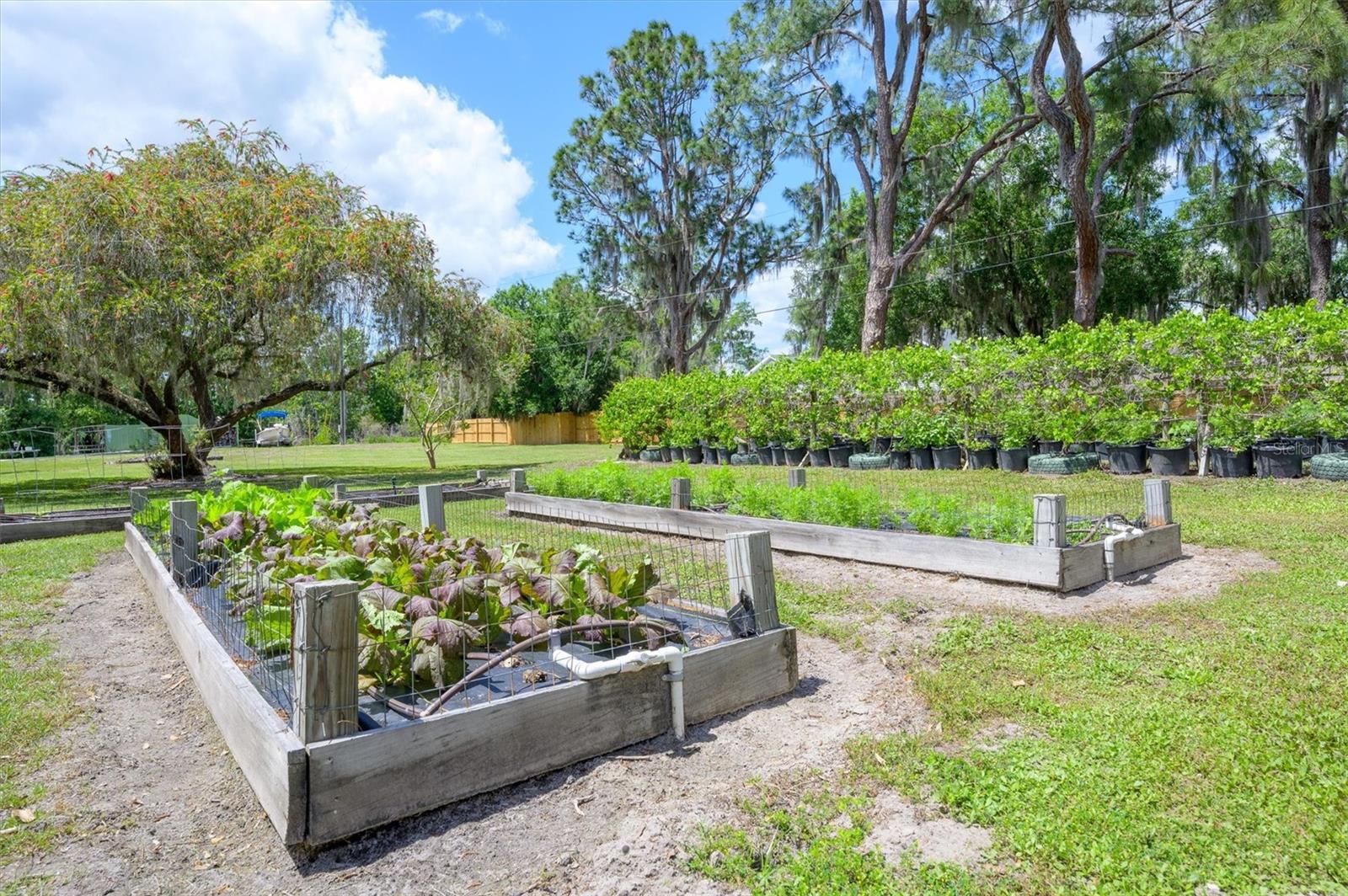 LAKESIDE ESTATES - Residential