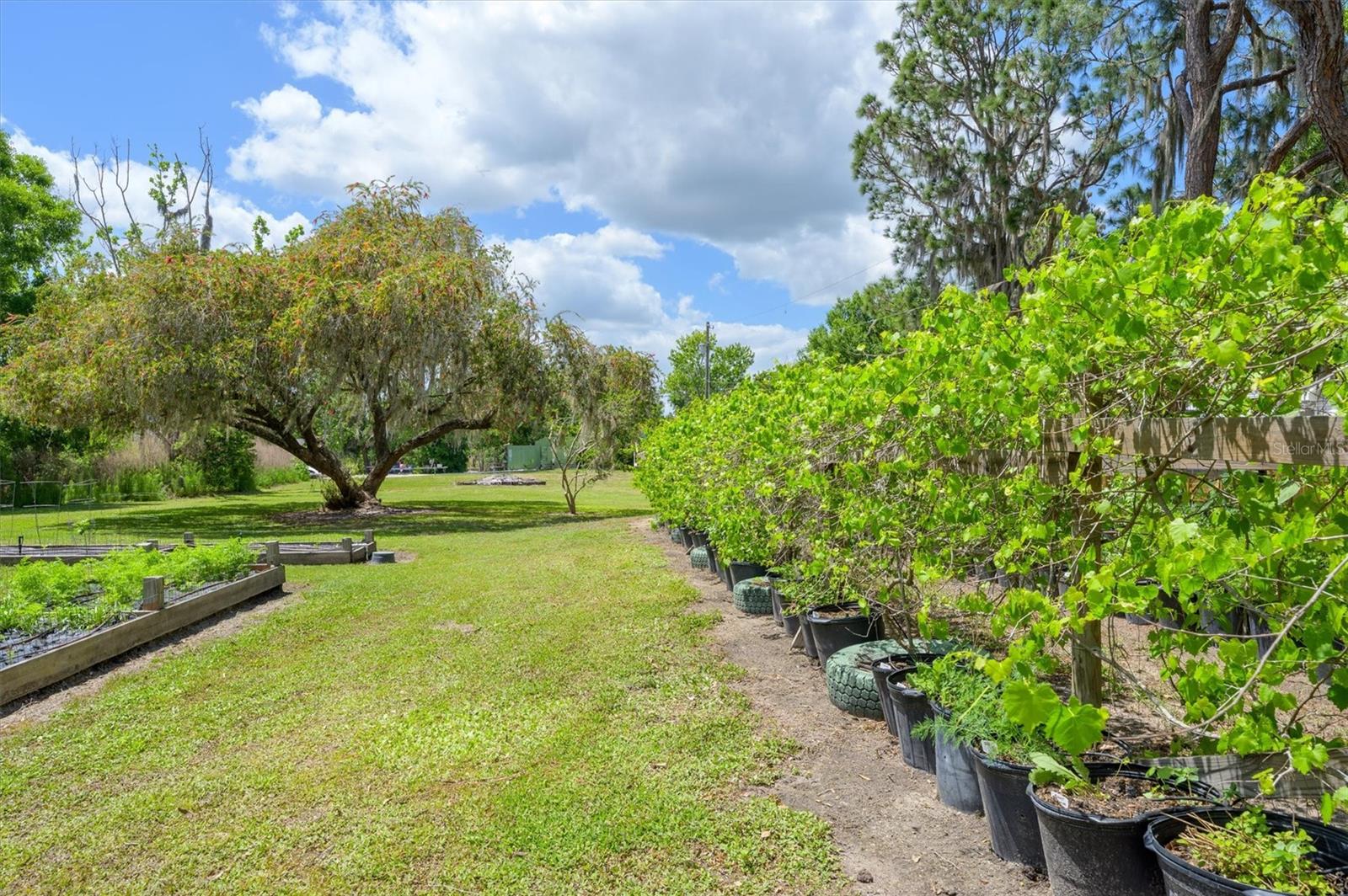 LAKESIDE ESTATES - Residential