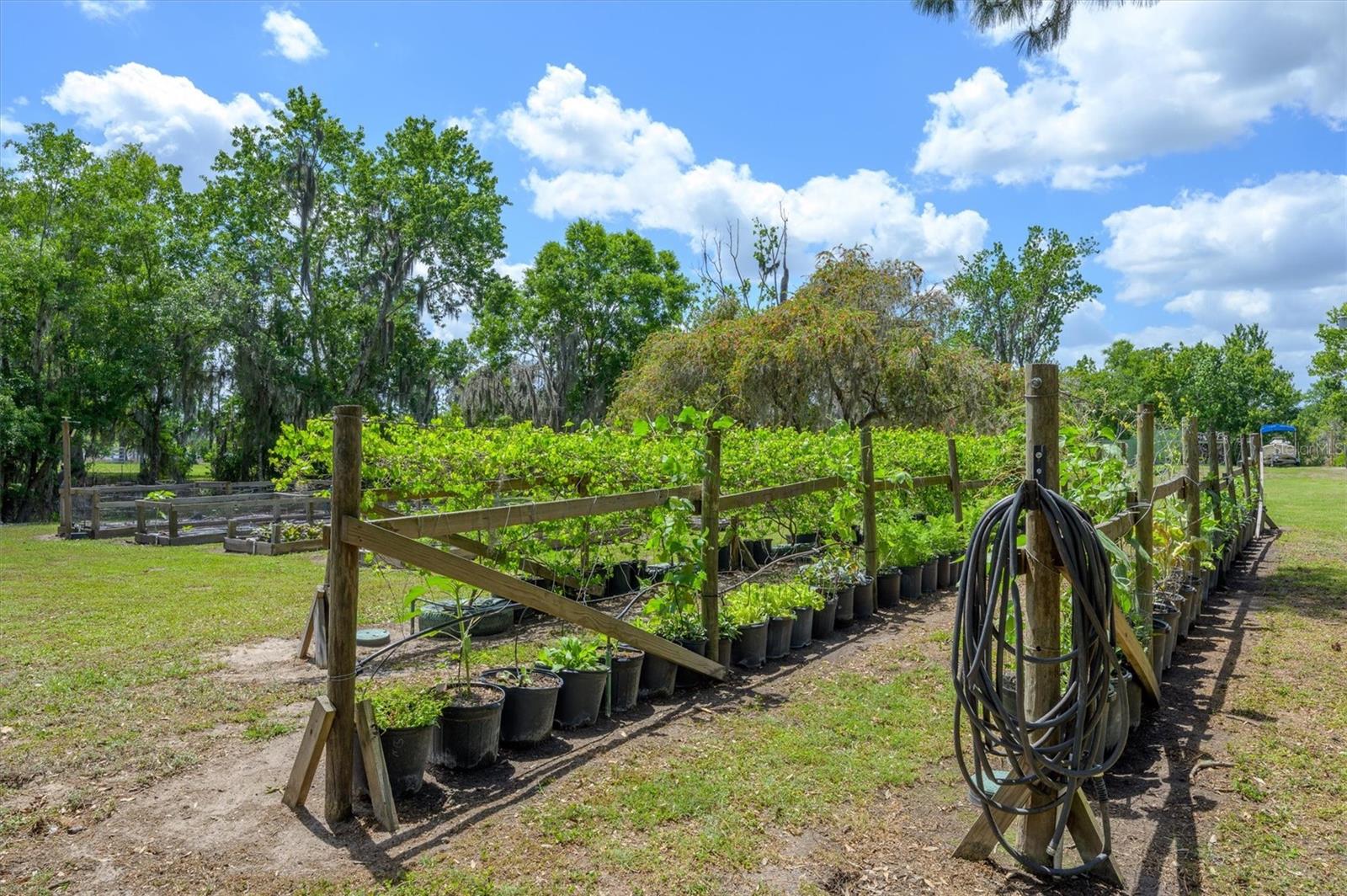 LAKESIDE ESTATES - Residential