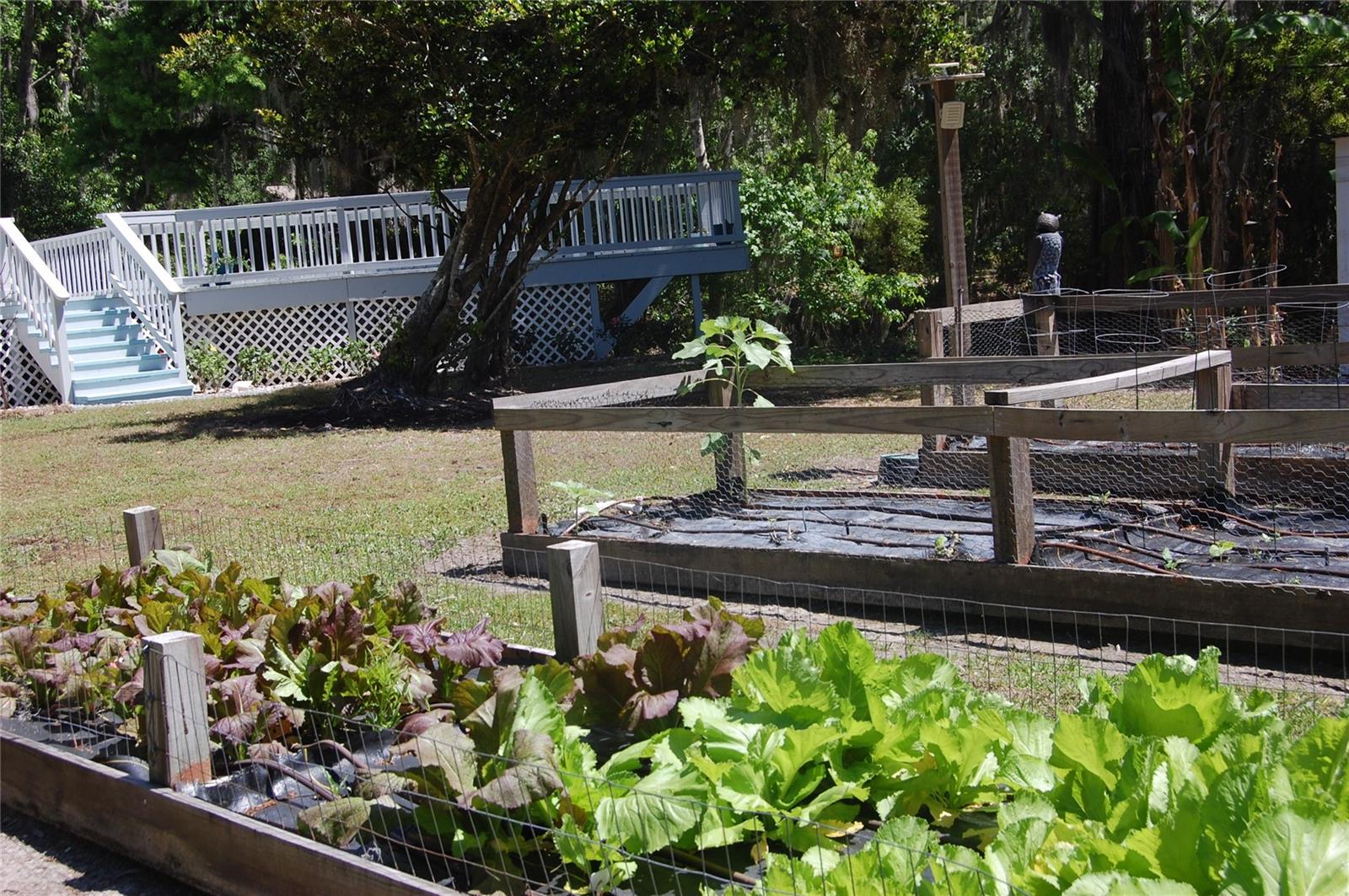 LAKESIDE ESTATES - Residential